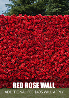 Red Rose Wall